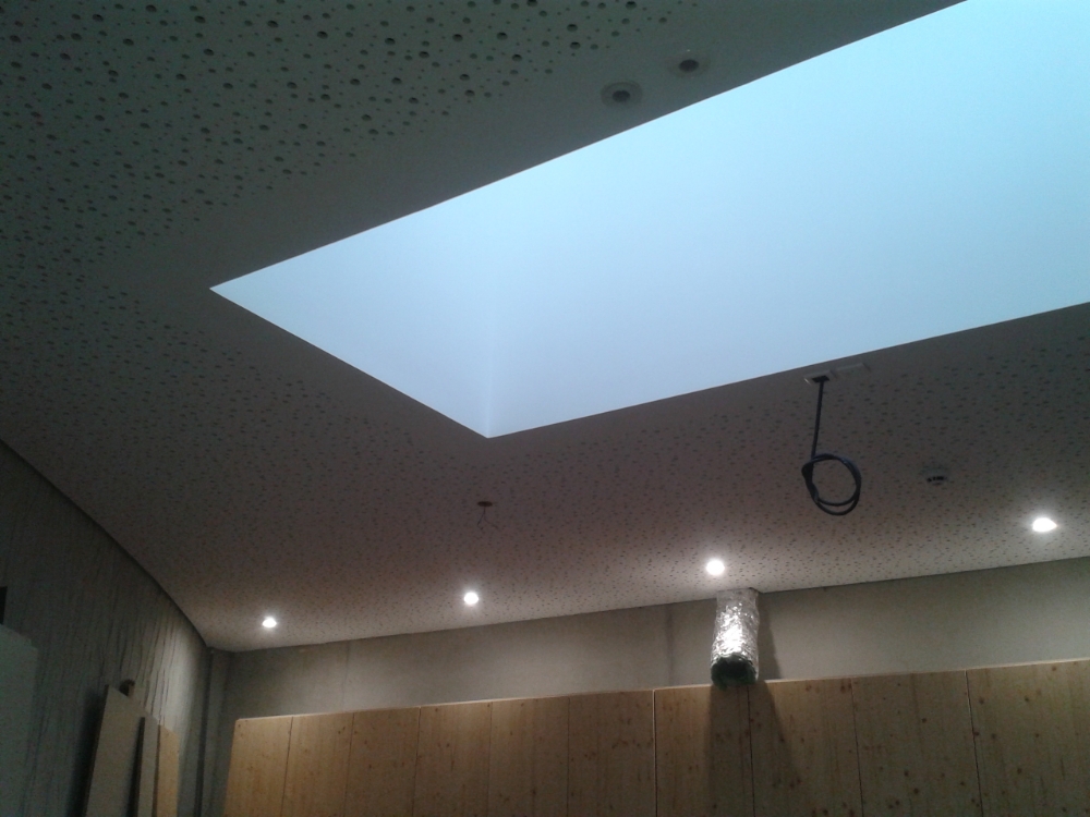 Sarl Coconnier Michel Plaquiste Vitre Plafond 6